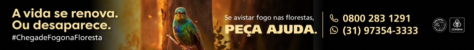 spot_img